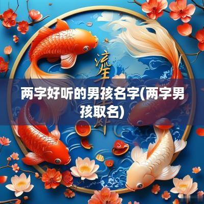 两字好听的男孩名字(两字男孩取名)