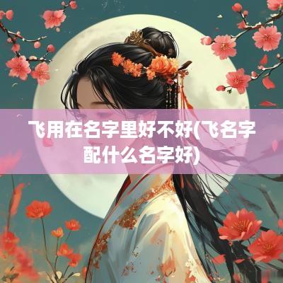 飞用在名字里好不好(飞名字配什么名字好)