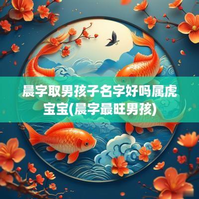 晨字取男孩子名字好吗属虎宝宝(晨字最旺男孩)