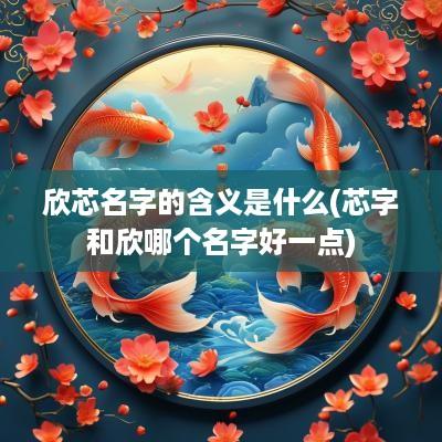 欣芯名字的含义是什么(芯字和欣哪个名字好一点)