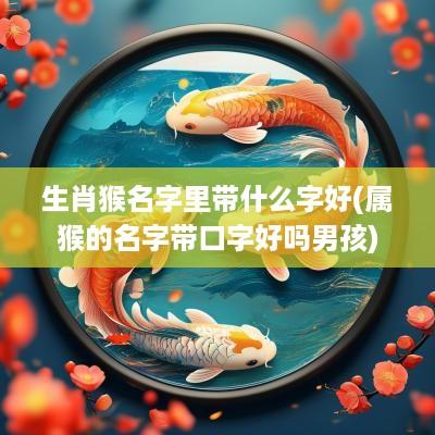 生肖猴名字里带什么字好(属猴的名字带口字好吗男孩)