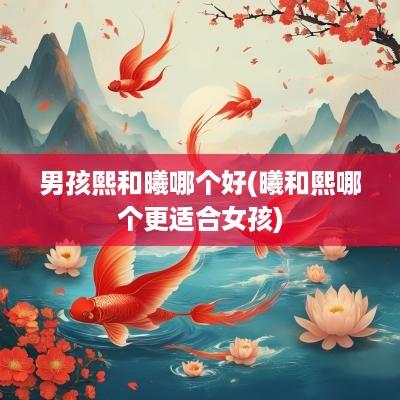 男孩熙和曦哪个好(曦和熙哪个更适合女孩)
