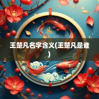 王楚凡名字含义(王楚凡是谁)