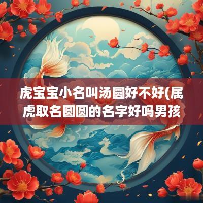 虎宝宝小名叫汤圆好不好(属虎取名圆圆的名字好吗男孩)