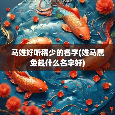 马姓好听稀少的名字(姓马属兔起什么名字好)