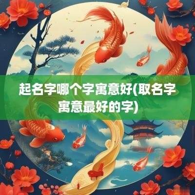 起名字哪个字寓意好(取名字寓意最好的字)