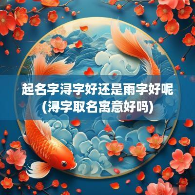 起名字浔字好还是雨字好呢(浔字取名寓意好吗)
