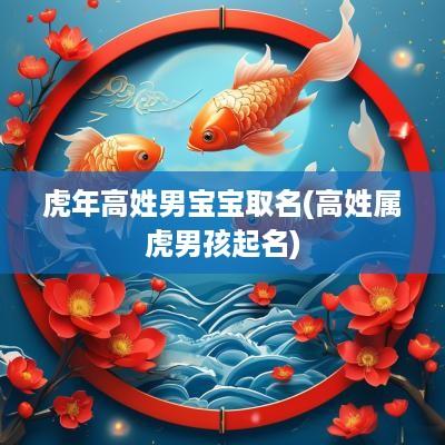 蛇年高姓男宝宝取名(高姓属虎男孩起名)