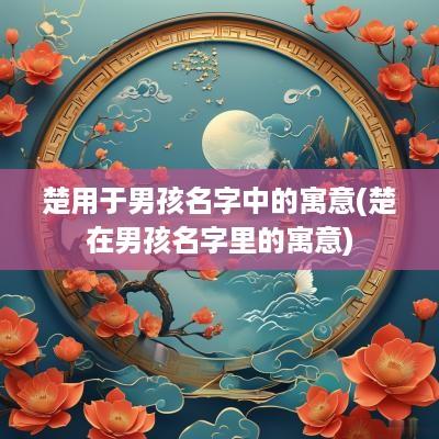 楚用于男孩名字中的寓意(楚在男孩名字里的寓意)