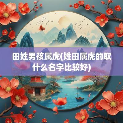 田姓男孩属虎(姓田属虎的取什么名字比较好)