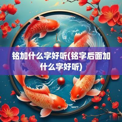 铭加什么字好听(铭字后面加什么字好听)