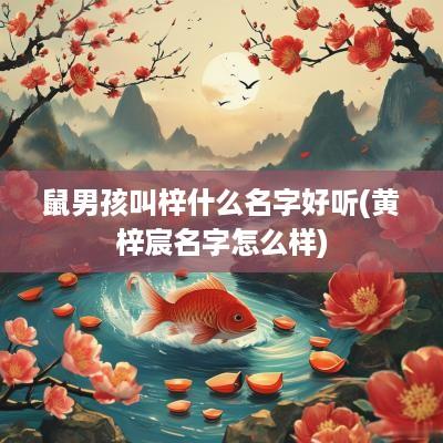 鼠男孩叫梓什么名字好听(黄梓宸名字怎么样)