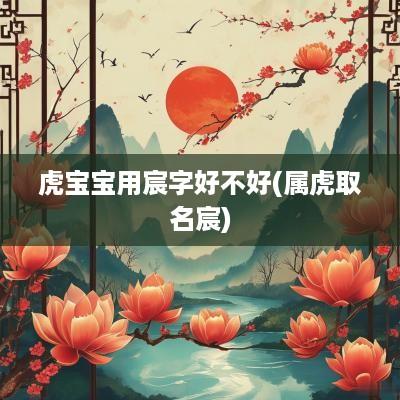 虎宝宝用宸字好不好(属虎取名宸)