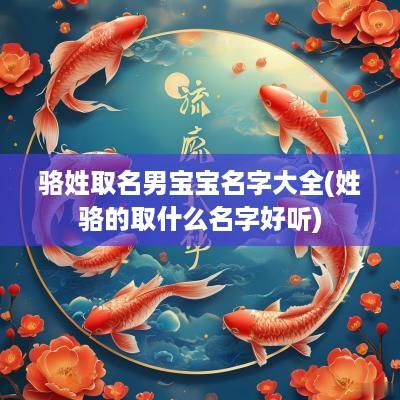 骆姓取名男宝宝名字大全(姓骆的取什么名字好听)
