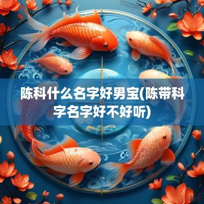 陈科什么名字好男宝(陈带科字名字好不好听)