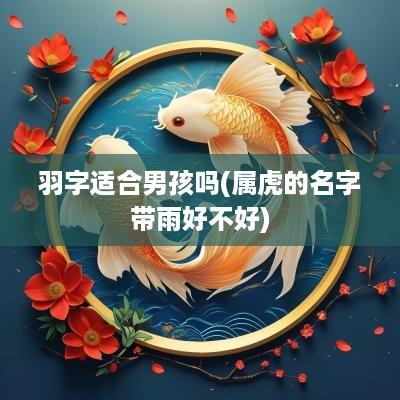 羽字适合男孩吗(属虎的名字带雨好不好)