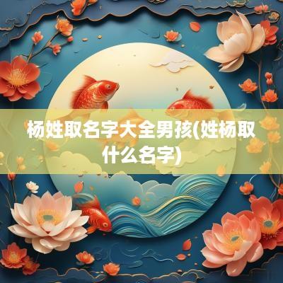 杨姓取名字大全男孩(姓杨取什么名字)