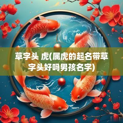草字头 虎(属虎的起名带草字头好吗男孩名字)