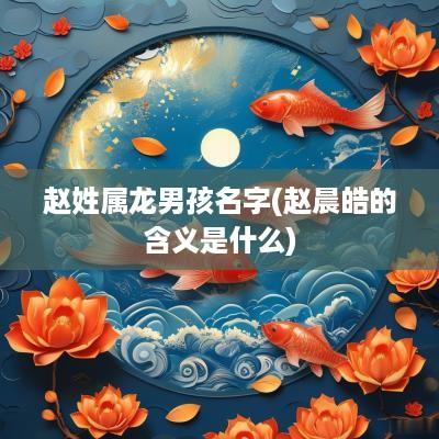 赵姓属龙男孩名字(赵晨皓的含义是什么)
