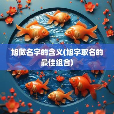 旭做名字的含义(旭字取名的最佳组合)