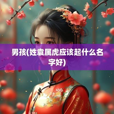 男孩(姓袁属虎应该起什么名字好)