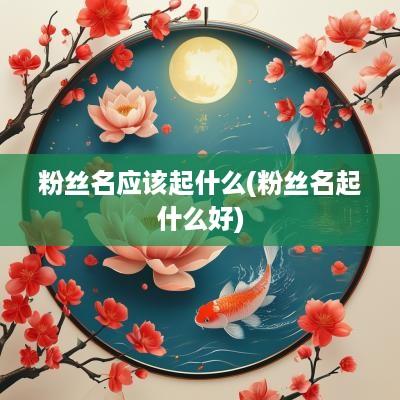 粉丝名应该起什么(粉丝名起什么好)