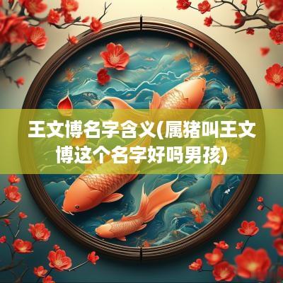 王文博名字含义(属猪叫王文博这个名字好吗男孩)