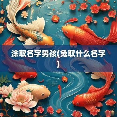 涂取名字男孩(兔取什么名字)