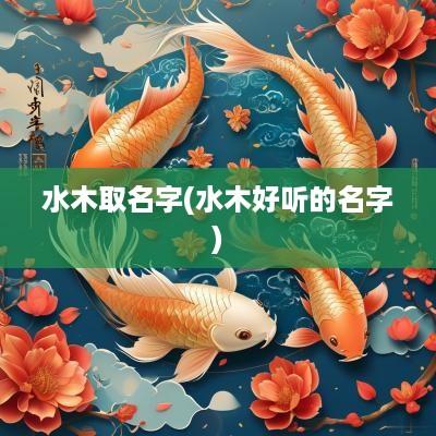 水木取名字(水木好听的名字)
