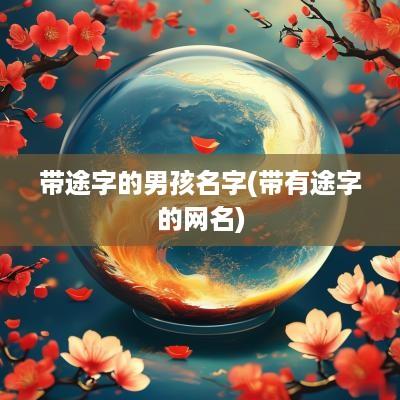带途字的男孩名字(带有途字的网名)
