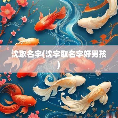 沈取名字(沈字取名字好男孩)