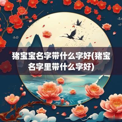 猪宝宝名字带什么字好(猪宝名字里带什么字好)
