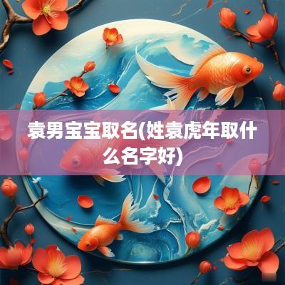 袁男宝宝取名(姓袁蛇年取什么名字好)