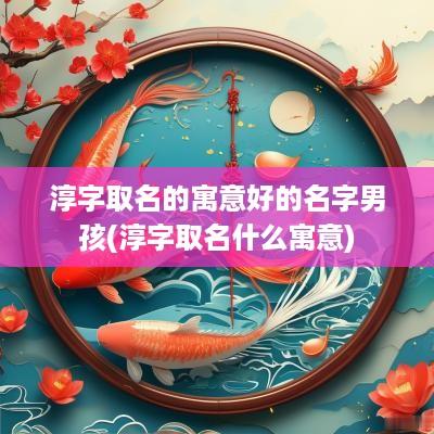 淳字取名的寓意好的名字男孩(淳字取名什么寓意)