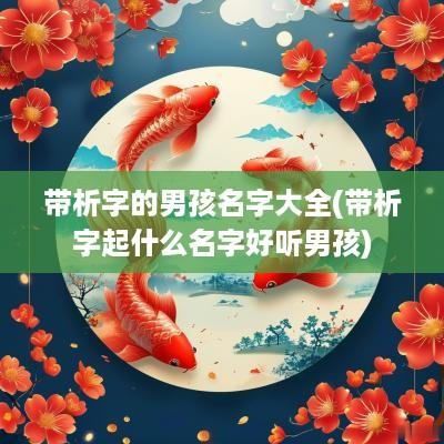 带析字的男孩名字大全(带析字起什么名字好听男孩)