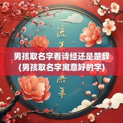 男孩取名字看诗经还是楚辞(男孩取名字寓意好的字)