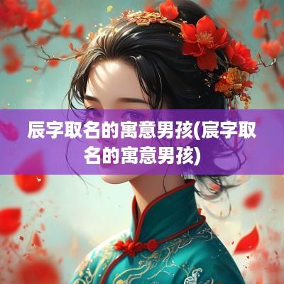 辰字取名的寓意男孩(宸字取名的寓意男孩)