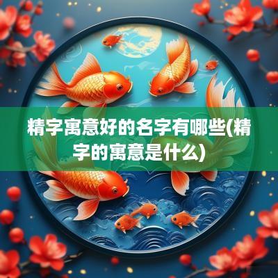 精字寓意好的名字有哪些(精字的寓意是什么)