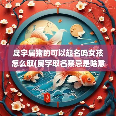 晟字属猪的可以起名吗女孩怎么取(晟字取名禁忌是啥意思)