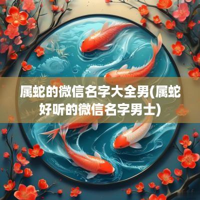属蛇的微信名字大全男(属蛇好听的微信名字男士)
