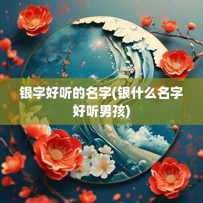 银字好听的名字(银什么名字好听男孩)