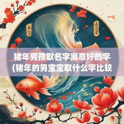 猪年男孩取名字寓意好的字(猪年的男宝宝取什么字比较好)