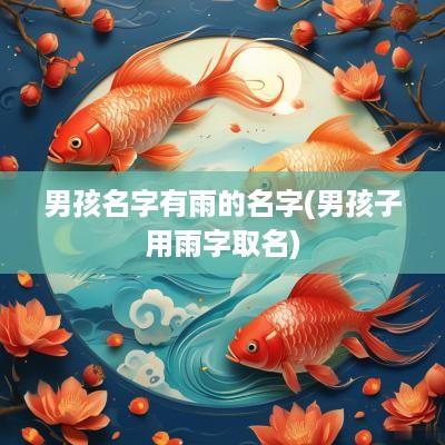 男孩名字有雨的名字(男孩子用雨字取名)