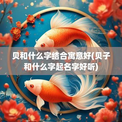 贝和什么字结合寓意好(贝子和什么字起名字好听)