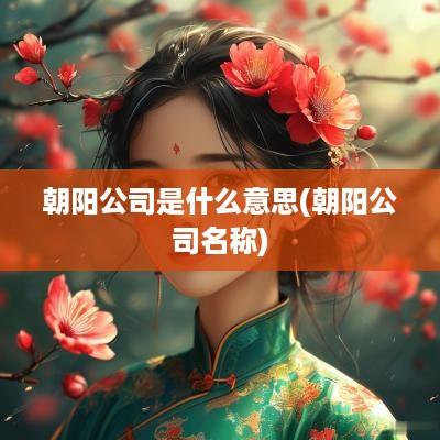 朝阳公司是什么意思(朝阳公司名称)