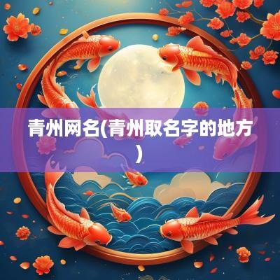 青州网名(青州取名字的地方)