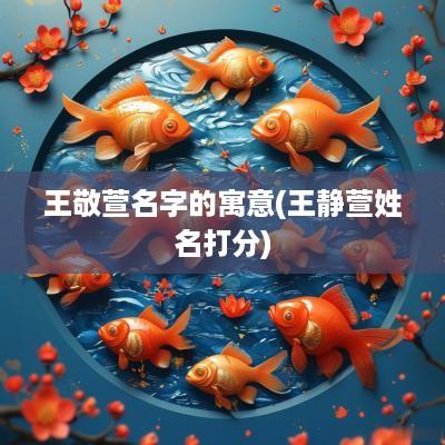王敬萱名字的寓意(王静萱姓名打分)