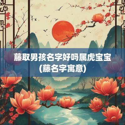 藤取男孩名字好吗属虎宝宝(藤名字寓意)