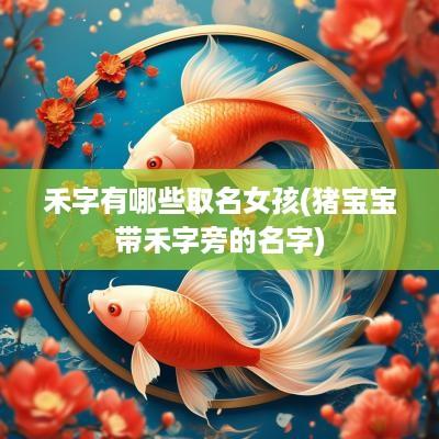 禾字有哪些取名女孩(猪宝宝带禾字旁的名字)