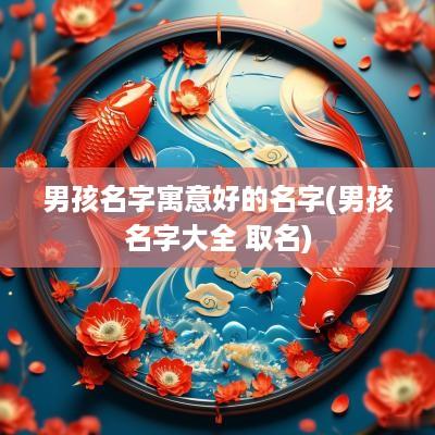 男孩名字寓意好的名字(男孩名字大全 取名)